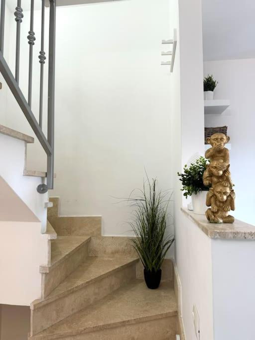 Casa Vacanza Elislor Apartments Fiumicino Zewnętrze zdjęcie